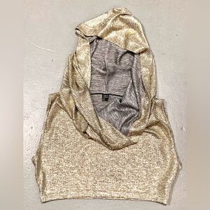Shiny Gold and Silver Hooded Crop